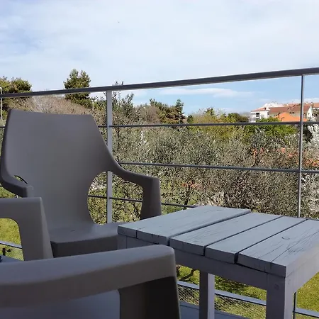 Guest house Dragic